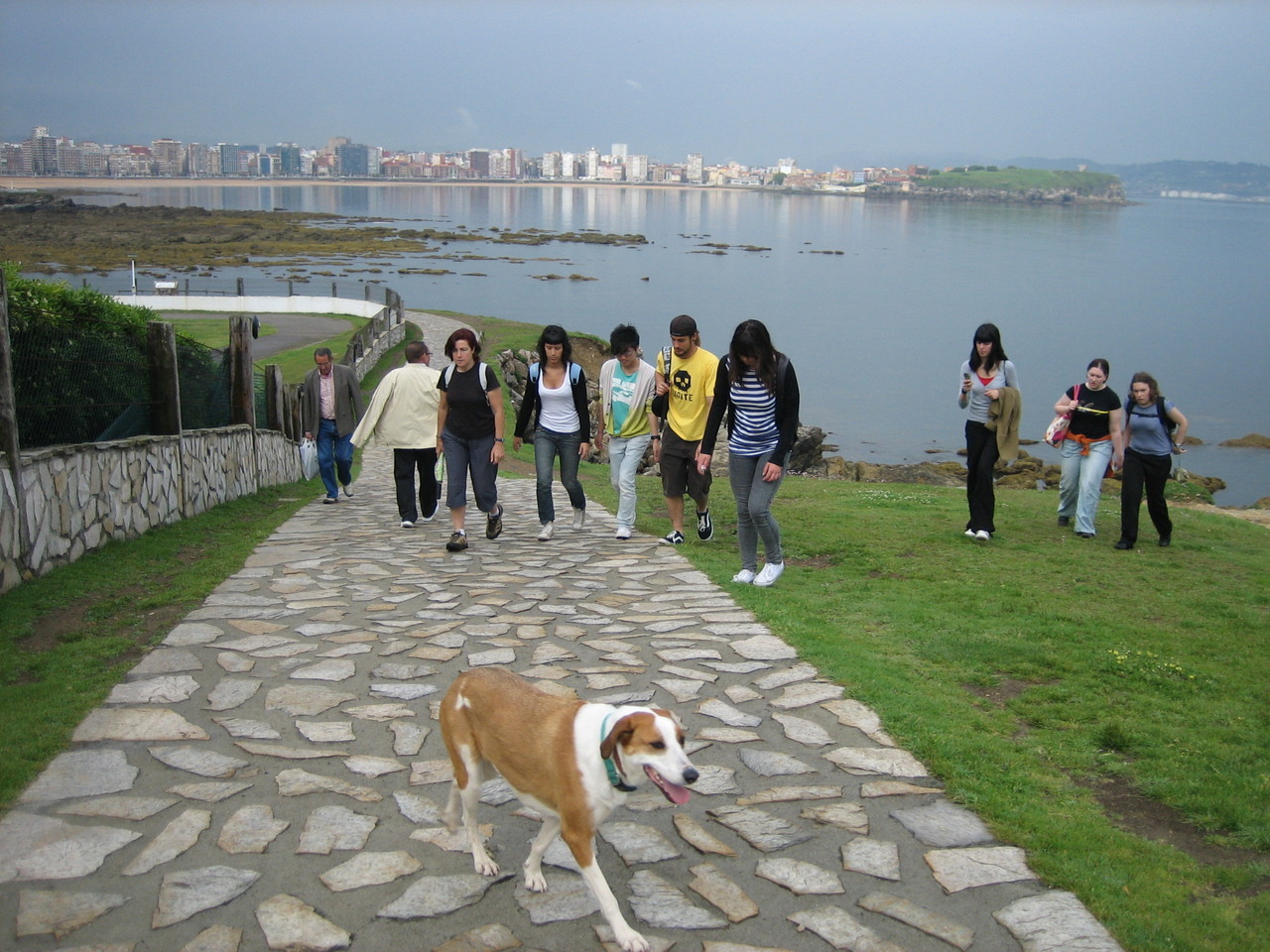 Descripción de la foto