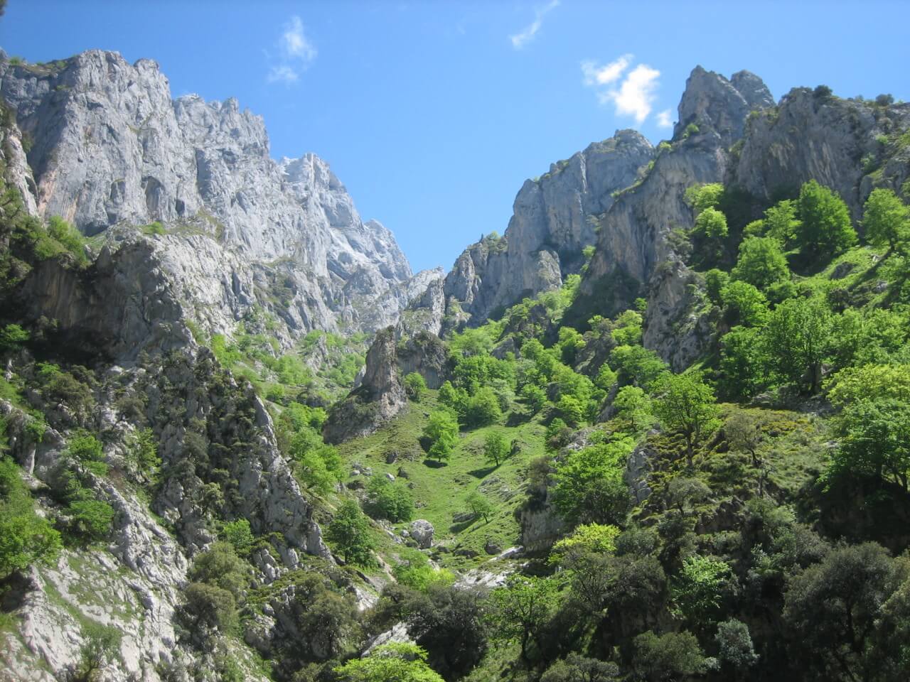 Vista de un canal de aludes